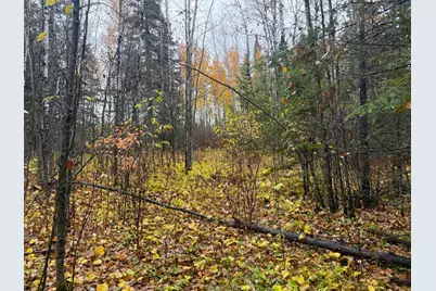 75Xx Metske Road, Eveleth, MN 55734 - Photo 13