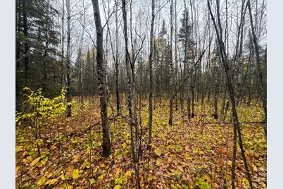 75Xx Metske Road, Eveleth, MN 55734 - Photo 11