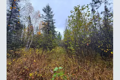 75Xx Metske Road, Eveleth, MN 55734 - Photo 27
