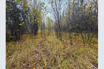 75Xx Metske Road, Eveleth, MN 55734 - Photo 25
