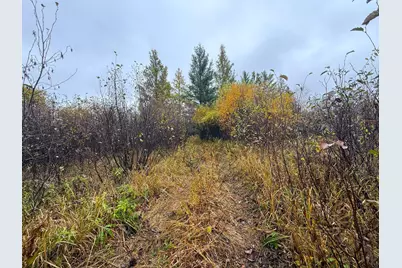 75Xx Metske Road, Eveleth, MN 55734 - Photo 29