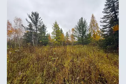 75Xx Metske Road, Eveleth, MN 55734 - Photo 1