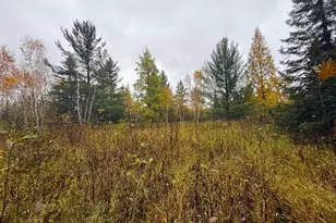 75Xx Metske Rd, Eveleth, MN 55734 - Photo 1