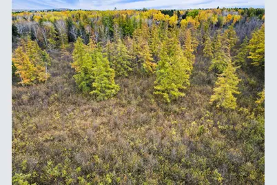 96 High Ridge Trail, Esko, MN 55733 - Photo 37
