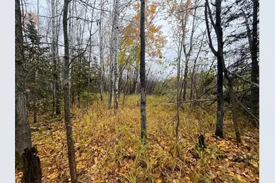 7Xxx Metske Road, Eveleth, MN 55734 - Photo 11