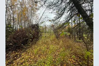7Xxx Metske Road, Eveleth, MN 55734 - Photo 13