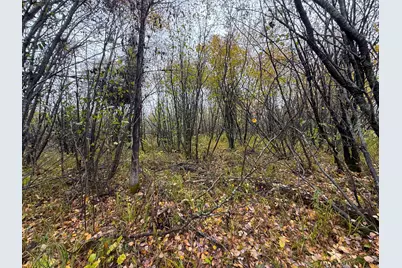 7Xxx Metske Road, Eveleth, MN 55734 - Photo 9
