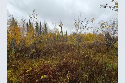7Xxx Metske Road, Eveleth, MN 55734 - Photo 31