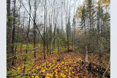 7Xxx Metske Road, Eveleth, MN 55734 - Photo 21