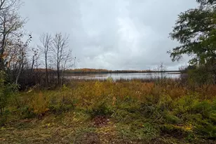 7Xxx Metske Rd, Eveleth, MN 55734 - Photo 1