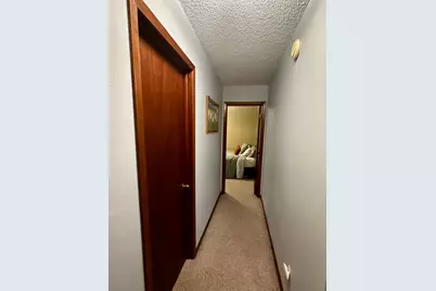111 Muyres Avenue, Carlos, MN 56319 - Photo 17
