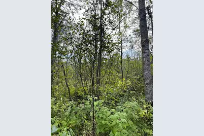 Tbd Easement Trail, Barnum, MN 55707 - Photo 3