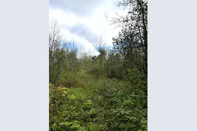 Tbd Easement Trail, Barnum, MN 55707 - Photo 5