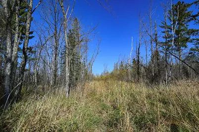 0000 Township Road 5743, Alborn, MN 55702 - Photo 31