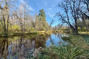 309 W Vermilion Dr, Cook, MN 55723 - Photo 39