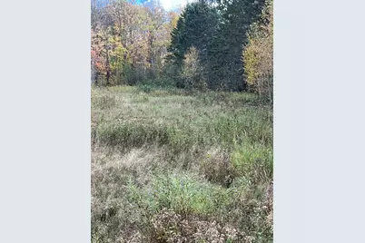 Xxx County Rd 1, Emily, MN 56447 - Photo 15