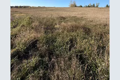 Xxxx Tasha Drive, Garfield, MN 56332 - Photo 5