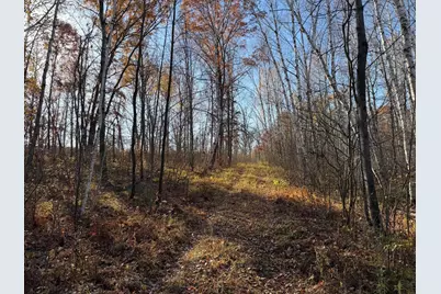 36963 Skyview Road, Hillman, MN 56338 - Photo 51
