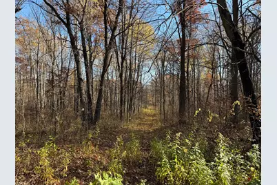 36963 Skyview Road, Hillman, MN 56338 - Photo 25