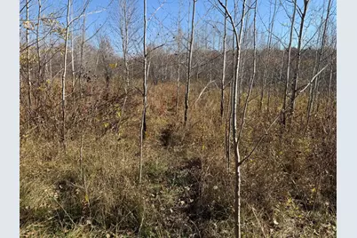 36963 Skyview Road, Hillman, MN 56338 - Photo 79