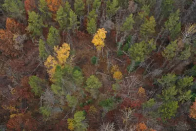 Lot 1 Spaulding Road, Grantsburg, WI 54840 - Photo 7
