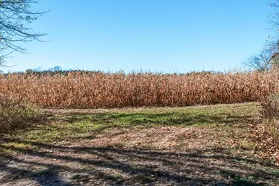 34.7 Acres 250th St, Cadott, WI 54727 - Photo 25