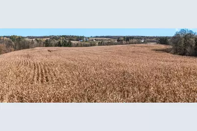 34.7 Acres 250th St, Cadott, WI 54727 - Photo 17