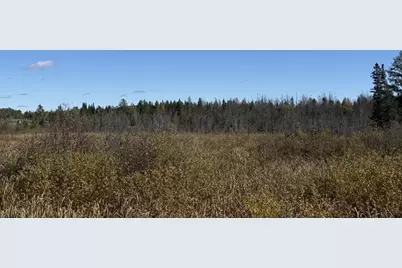 Tbd Nett Lake Rd, Orr, MN 55771 - Photo 9
