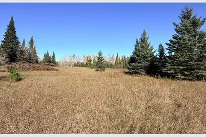 Tbd NW Trengove Road NW, Solway, MN 56678 - Photo 3