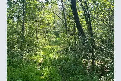 31209 Highway 58 Boulevard, Red Wing, MN 55066 - Photo 31