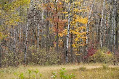 Tbd Tbd, Aitkin, MN 56431 - Photo 9