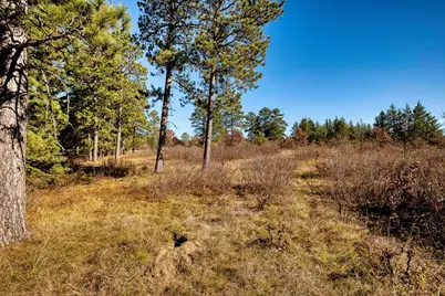 39346 County 4, Lake George Township, MN 56458 - Photo 37