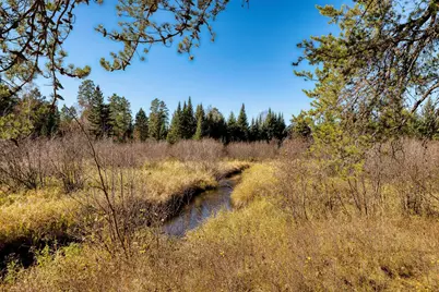 39346 County 4, Lake George Township, MN 56458 - Photo 41
