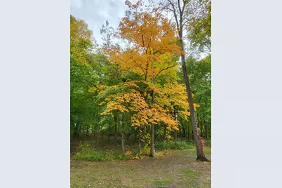 11320 Highway 7, Watertown, MN 55388 - Photo 19