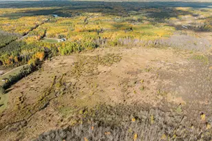Tbd Moilan Rd, Eveleth, MN 55734 - Photo 1