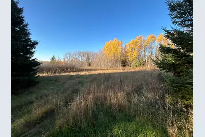 10629 Town Rd 34, Mizpah, MN 56660 - Photo 7