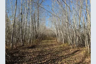 93359 Mn-23, Holyoke, MN 55749 - Photo 11