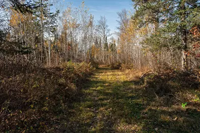 Tbd-37Ac Cty Rd 11, Barnum, MN 55707 - Photo 11