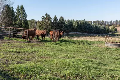 25599 State Highway 210, Fergus Falls, MN 56537 - Photo 35