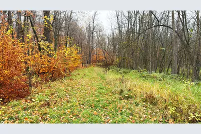 Tbd County Road 31, Aitkin, MN 56431 - Photo 21
