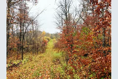 Tbd County Road 31, Aitkin, MN 56431 - Photo 25