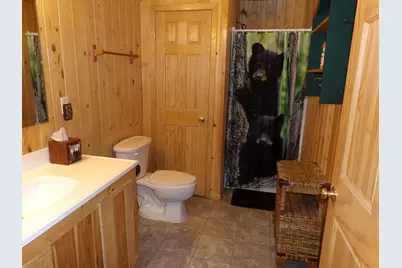 49092 Empty Bar Loop, Deer River, MN 56636 - Photo 21