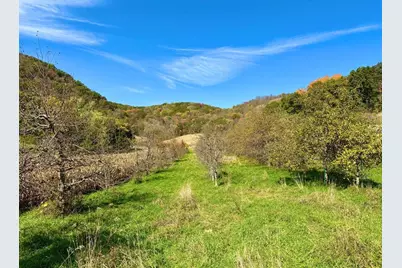 28095 Kerns Road, Dakota, MN 55925 - Photo 9
