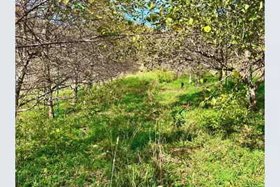 28095 Kerns Road, Dakota, MN 55925 - Photo 25