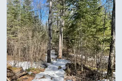 6206 Needleleaf, Biwabik, MN 55708 - Photo 3
