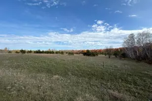 19+/- County Road 18 SW, Brainerd, MN 56401 - Photo 1