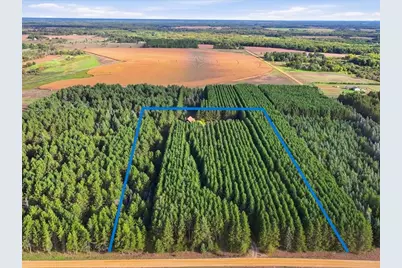 10 Acres 25388 148th Street, Staples, MN 56479 - Photo 3