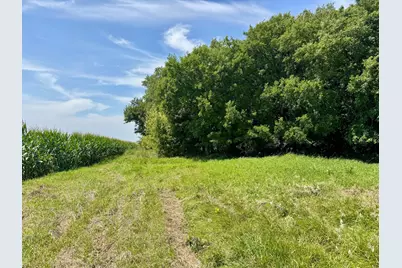 Xxx 130th Ave, Welcome, MN 56181 - Photo 43