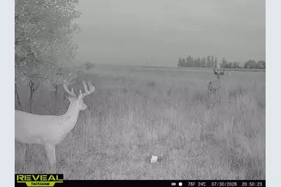 Xxx 130th Ave, Welcome, MN 56181 - Photo 29