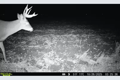 Xxx 130th Ave, Welcome, MN 56181 - Photo 31